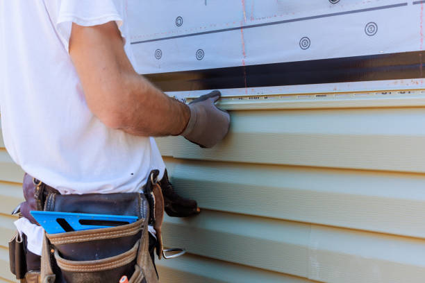 Affordable Vinyl Siding solutions in Huntersville, NC